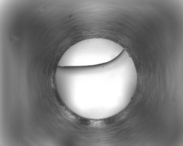 X0000066090185200603101012