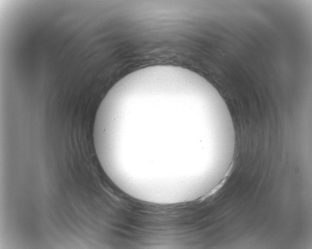 X0000066090186200603101012