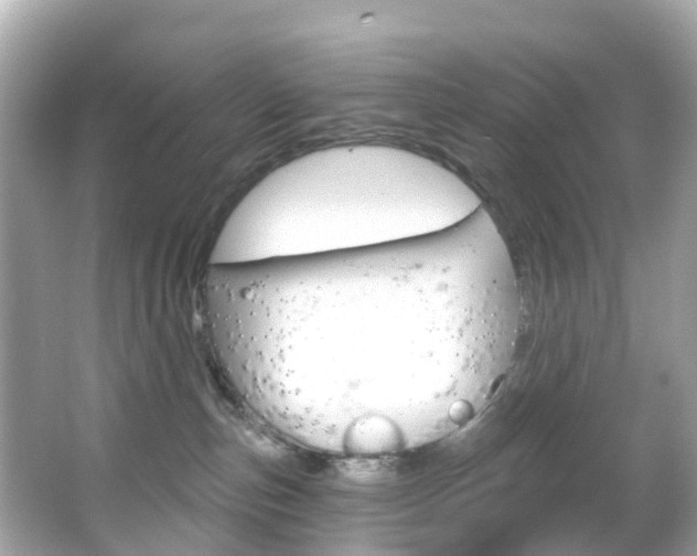 X0000066090187200603101012