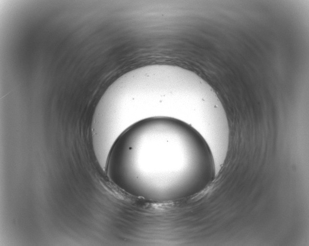 X0000066090188200603101012