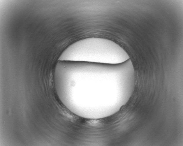 X0000066090189200603101012