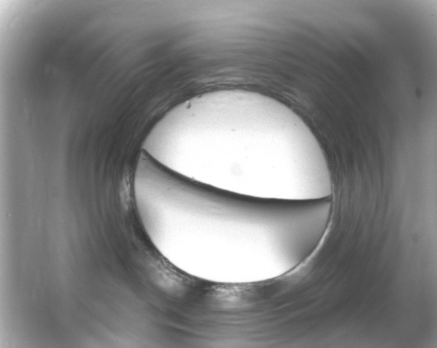 X0000066090190200603101012