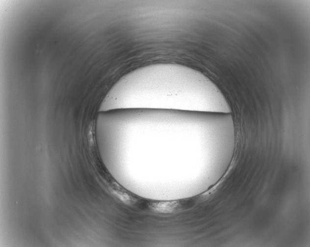 X0000066090191200603101012