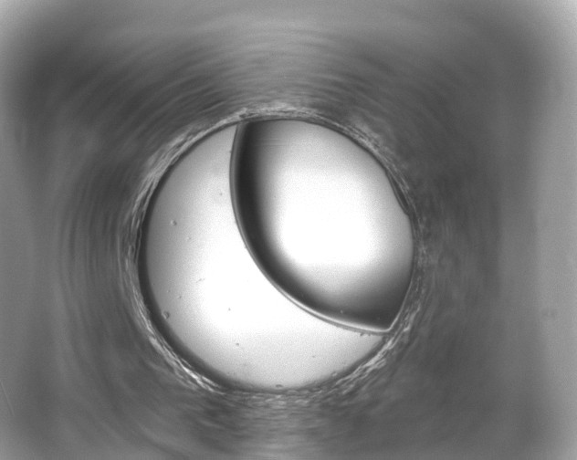 X0000066090193200603101012