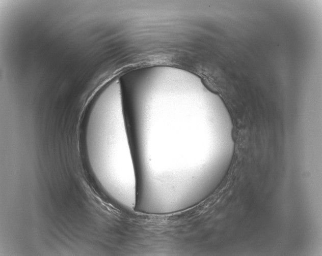 X0000066090194200603101012