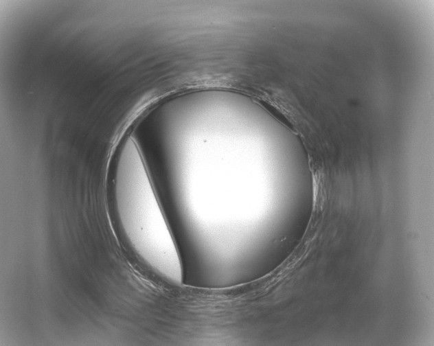 X0000066090195200603101012