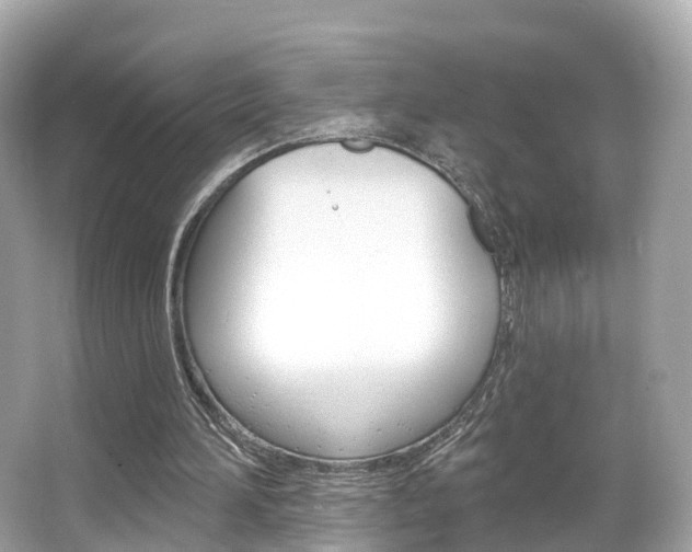 X0000066090196200603101012