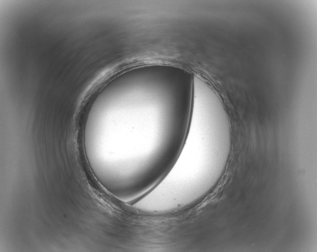 X0000066090197200603101012