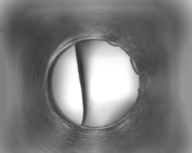 X0000066090198200603101012