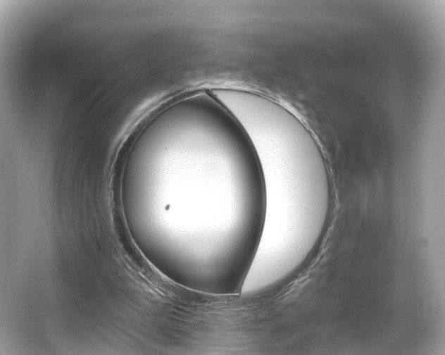 X0000066090199200603101012