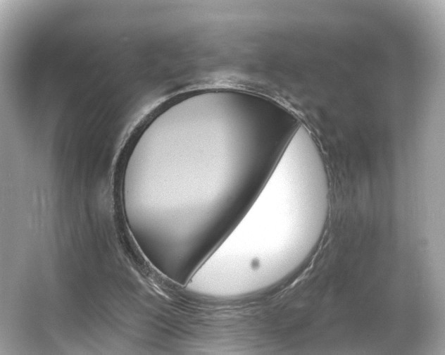 X0000066090200200603101012