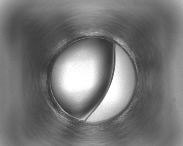 X0000066090201200603101012