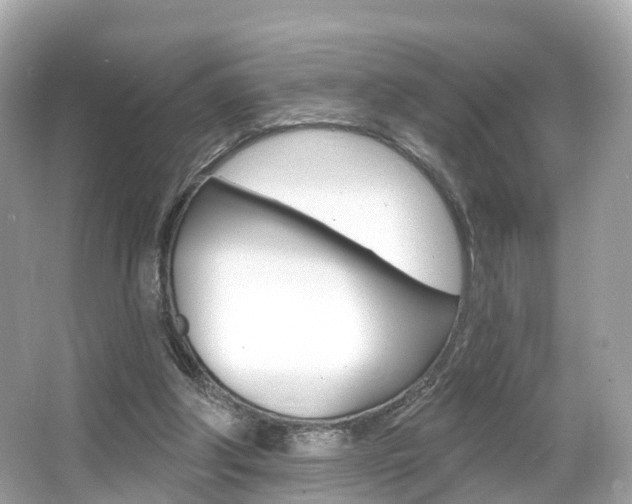 X0000066090202200603101012