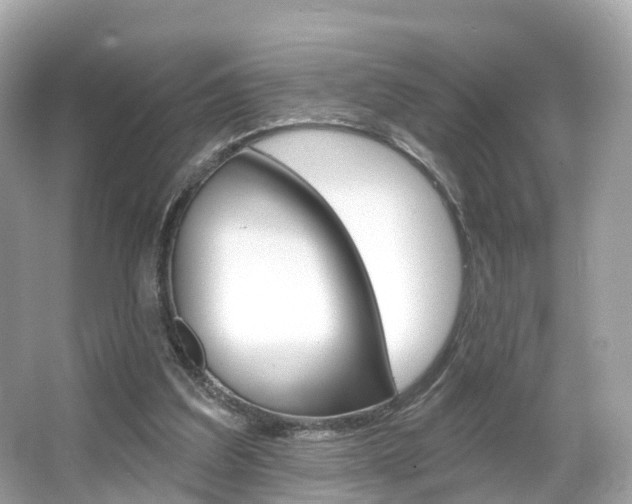 X0000066090203200603101012