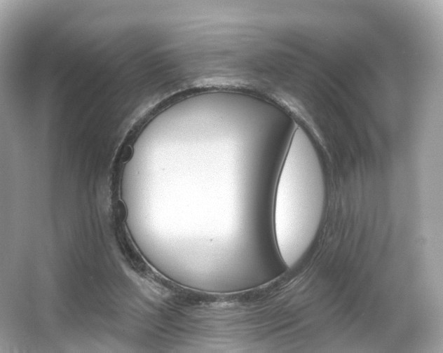 X0000066090204200603101011