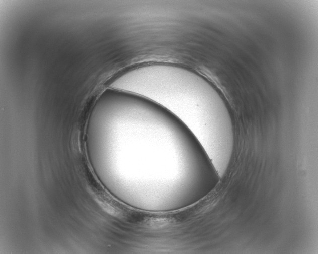 X0000066090205200603101011