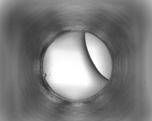 X0000066090206200603101011