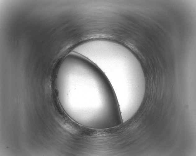 X0000066090207200603101011