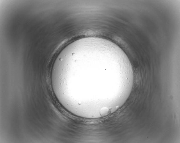 X0000066090208200603101011