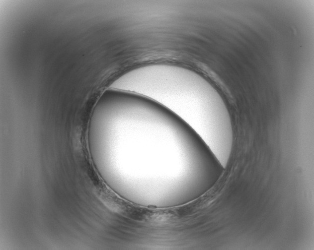 X0000066090209200603101011