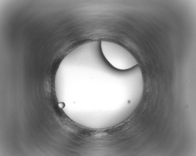 X0000066090210200603101011