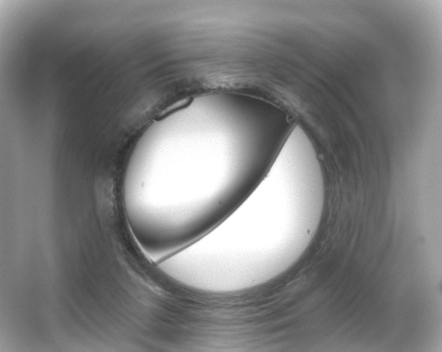 X0000066090211200603101011