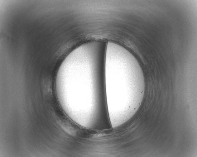 X0000066090212200603101011