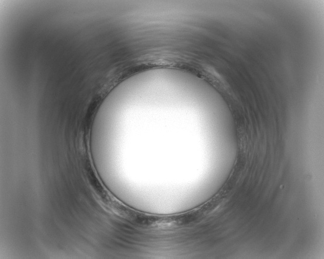 X0000066090213200603101011