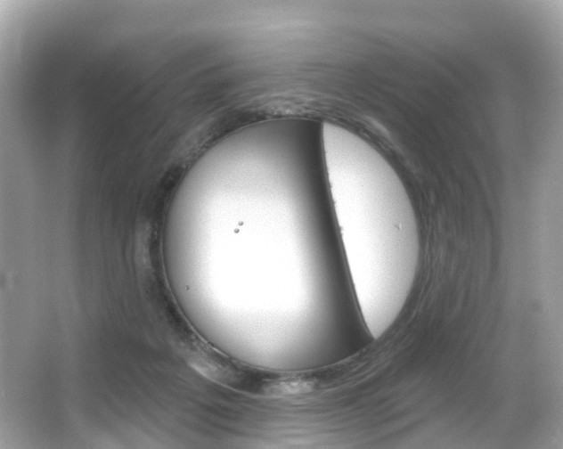 X0000066090217200603101011