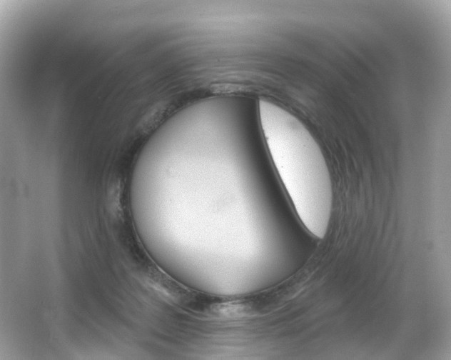 X0000066090219200603101011