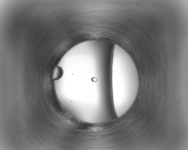 X0000066090220200603101011