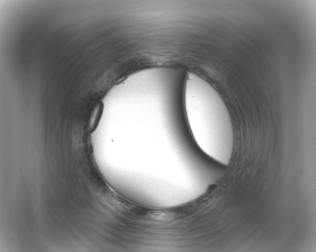 X0000066090221200603101011