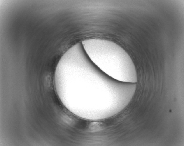 X0000066090222200603101011