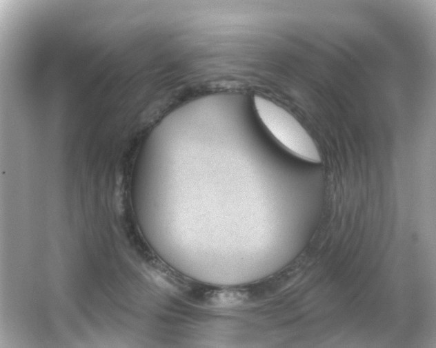 X0000066090223200603101011