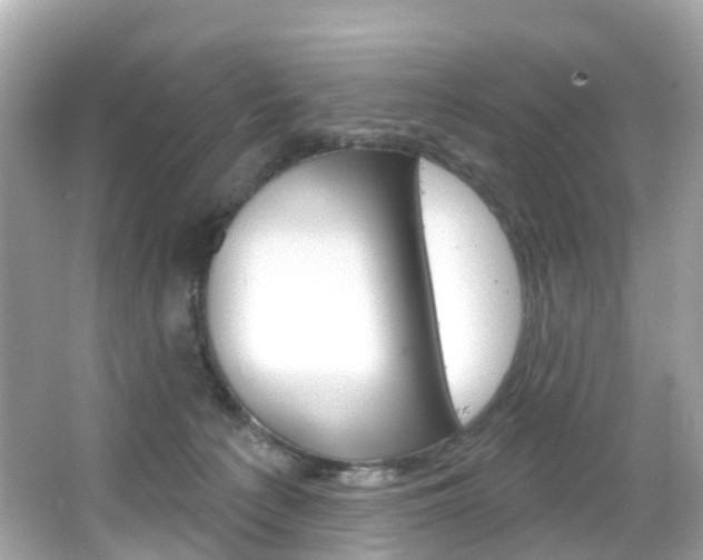 X0000066090225200603101011