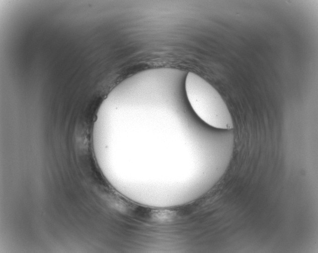 X0000066090226200603101011