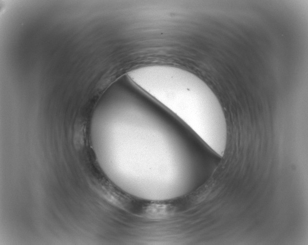 X0000066090227200603101011