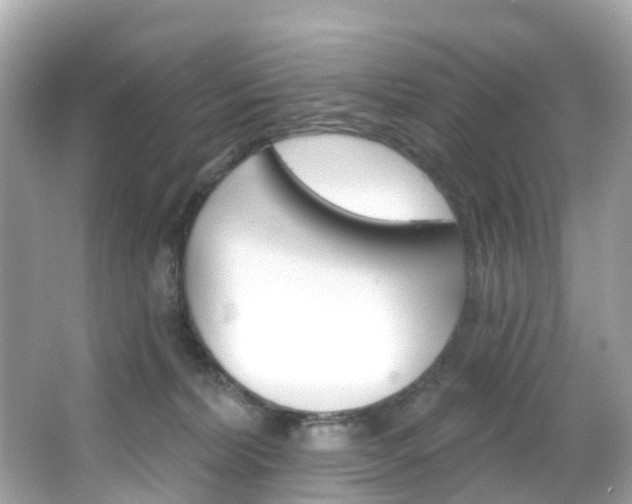 X0000066090228200603101011