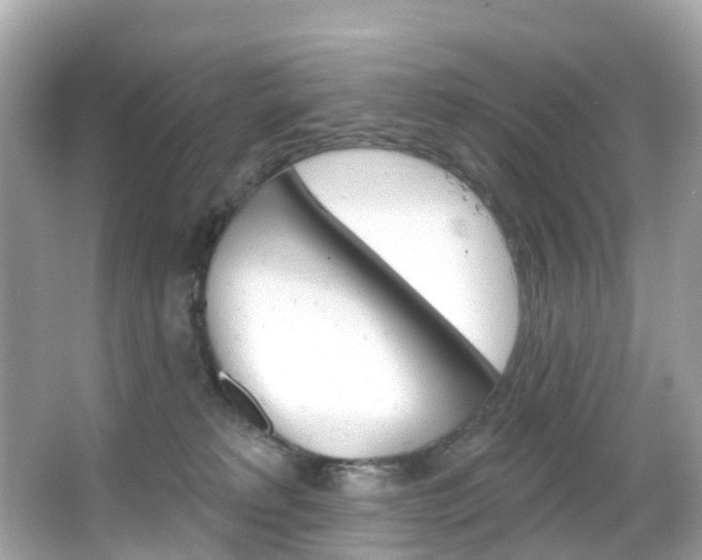 X0000066090229200603101011