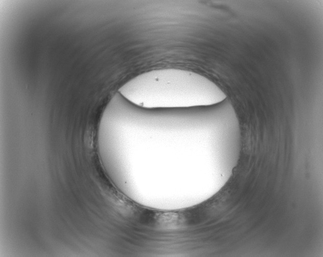 X0000066090230200603101011