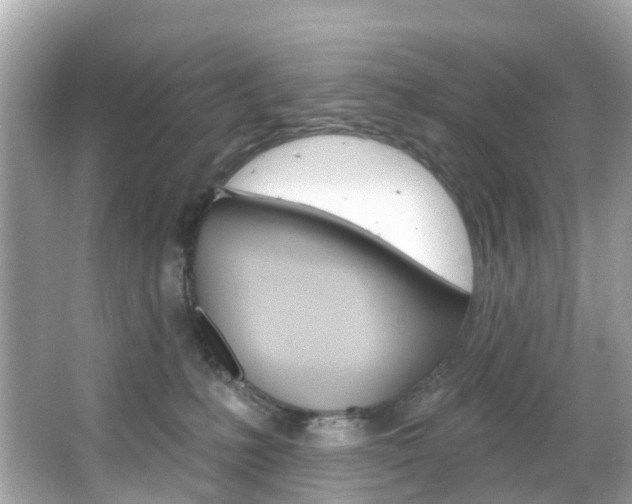 X0000066090231200603101011