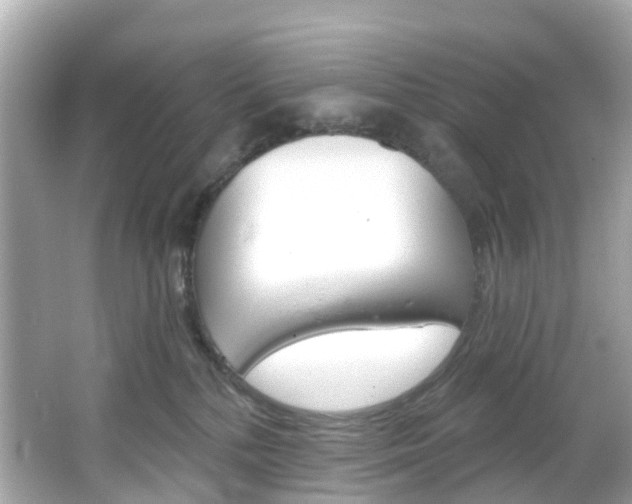 X0000066090232200603101011