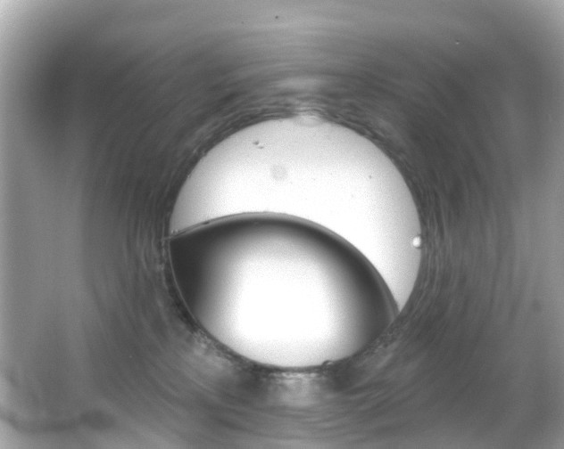 X0000066090233200603101011