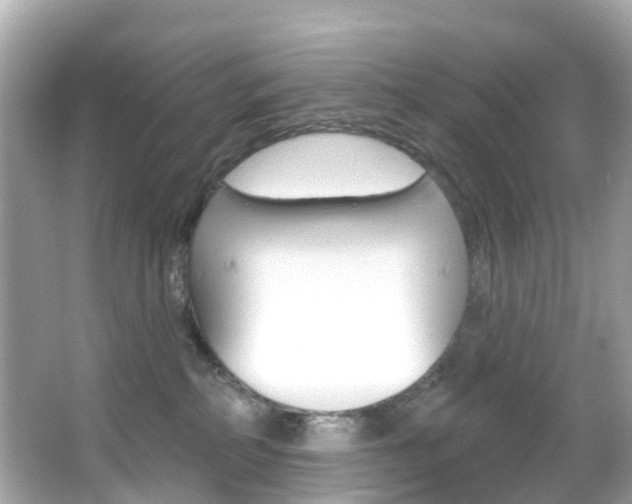 X0000066090234200603101011