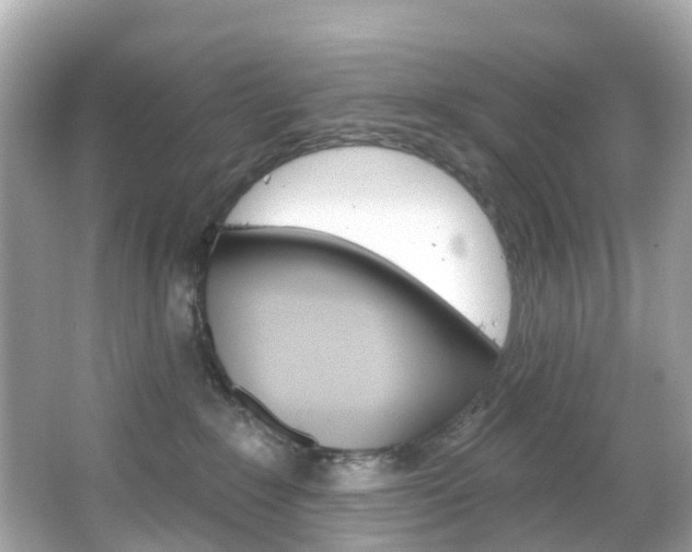 X0000066090235200603101011