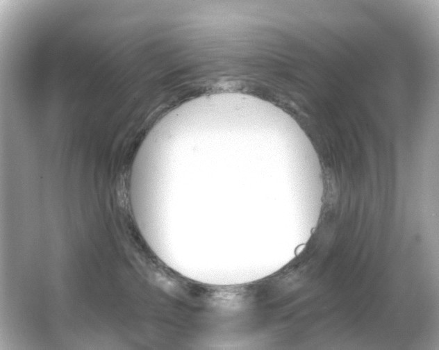 X0000066090236200603101011