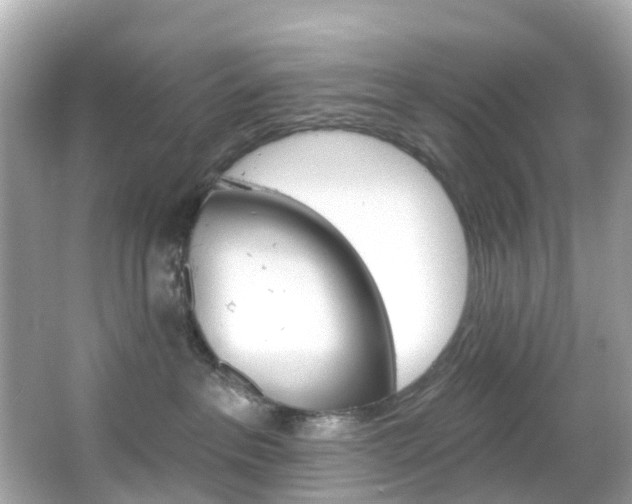 X0000066090237200603101011