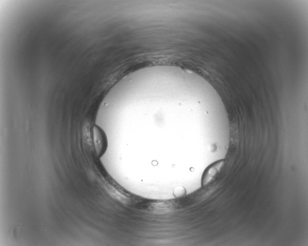 X0000066090238200603101011