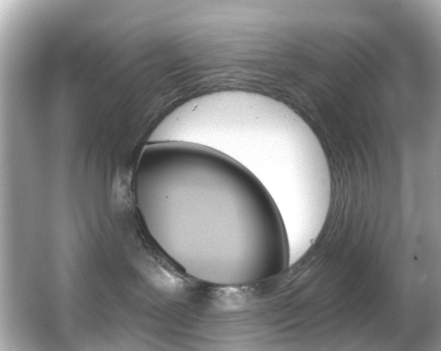 X0000066090239200603101011