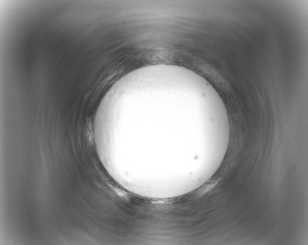 X0000066090240200603101011